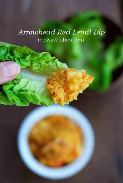 Arrowhead Red Lentil Dip